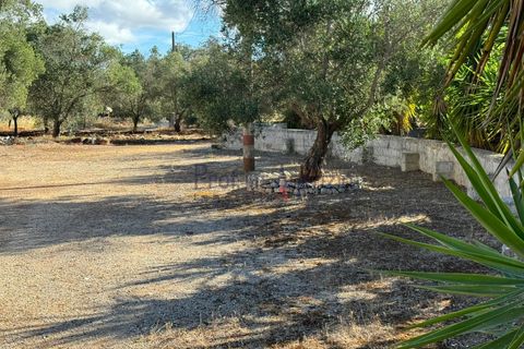 Landejendom i Ostuni, Brindisi, Ostuni - € 70.000 | Ref: 172708 - foto 9